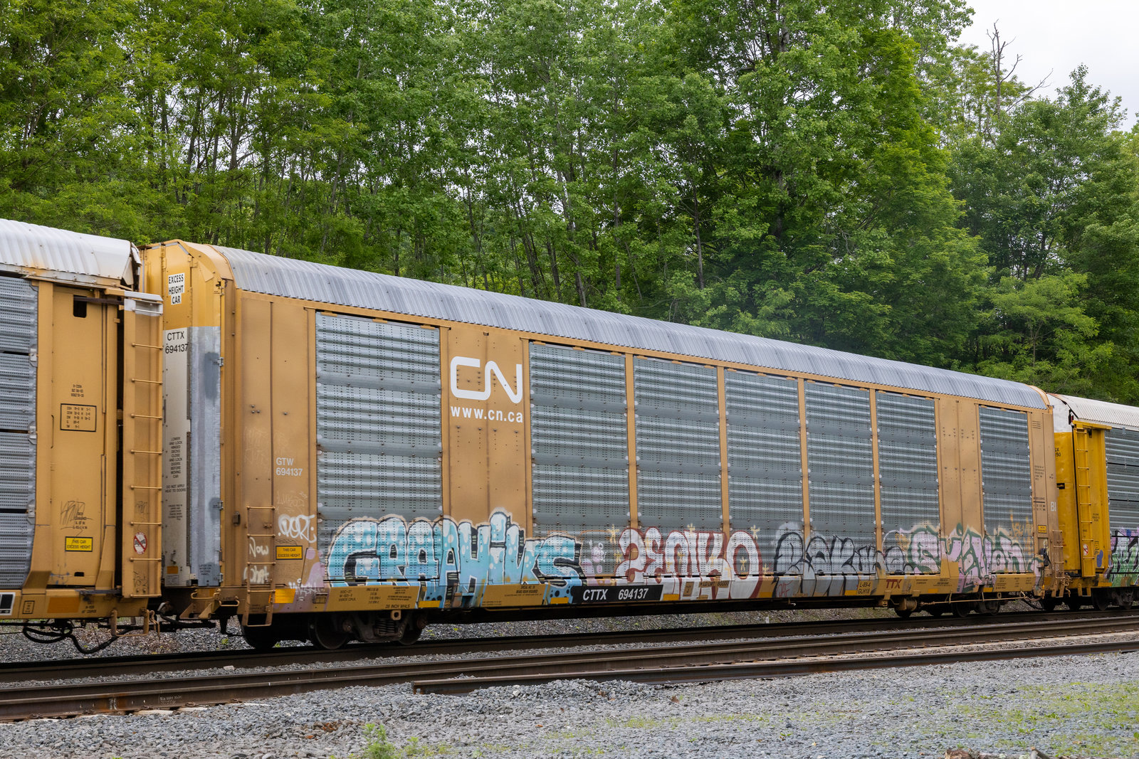 CTTX 694137