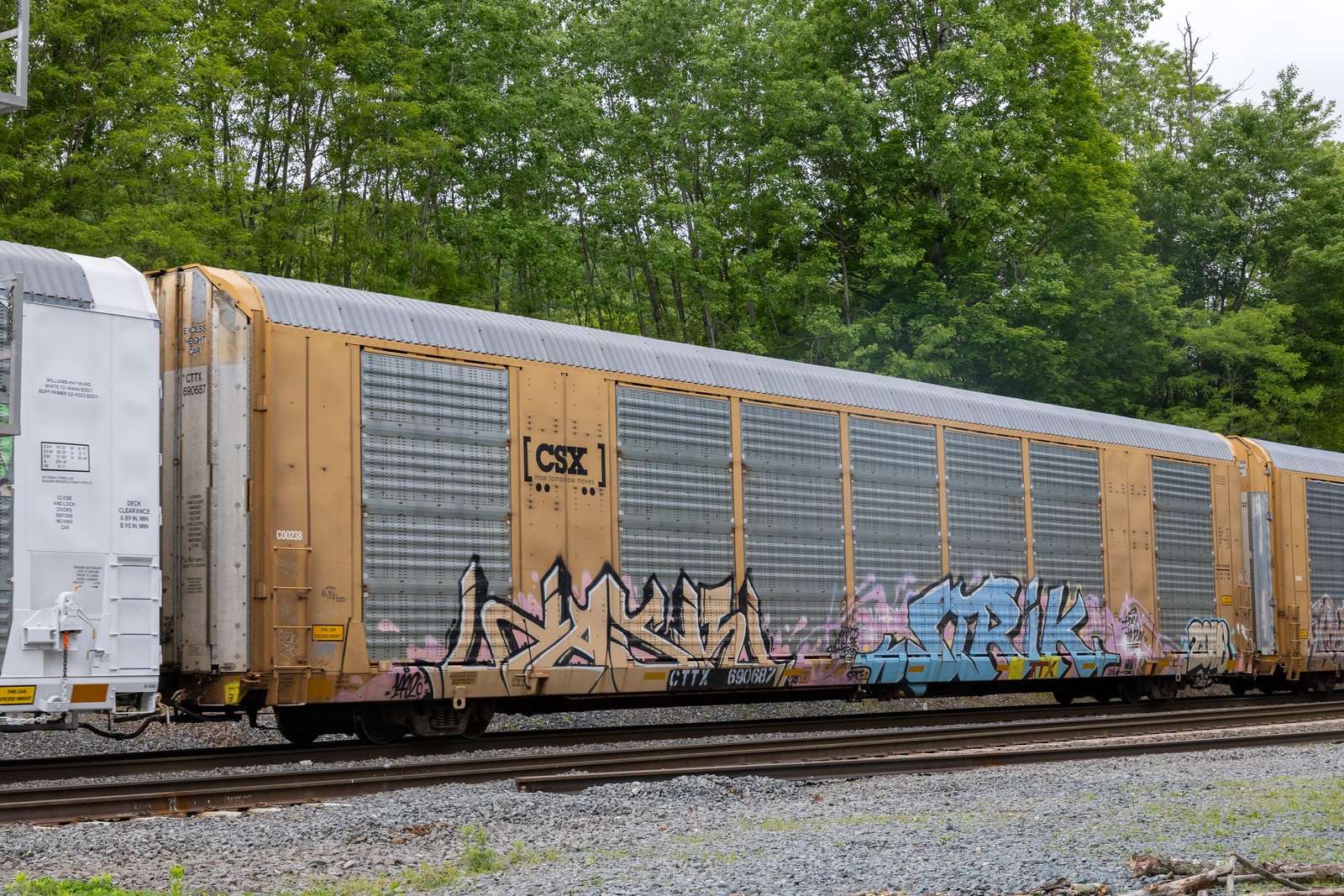 CTTX 690687