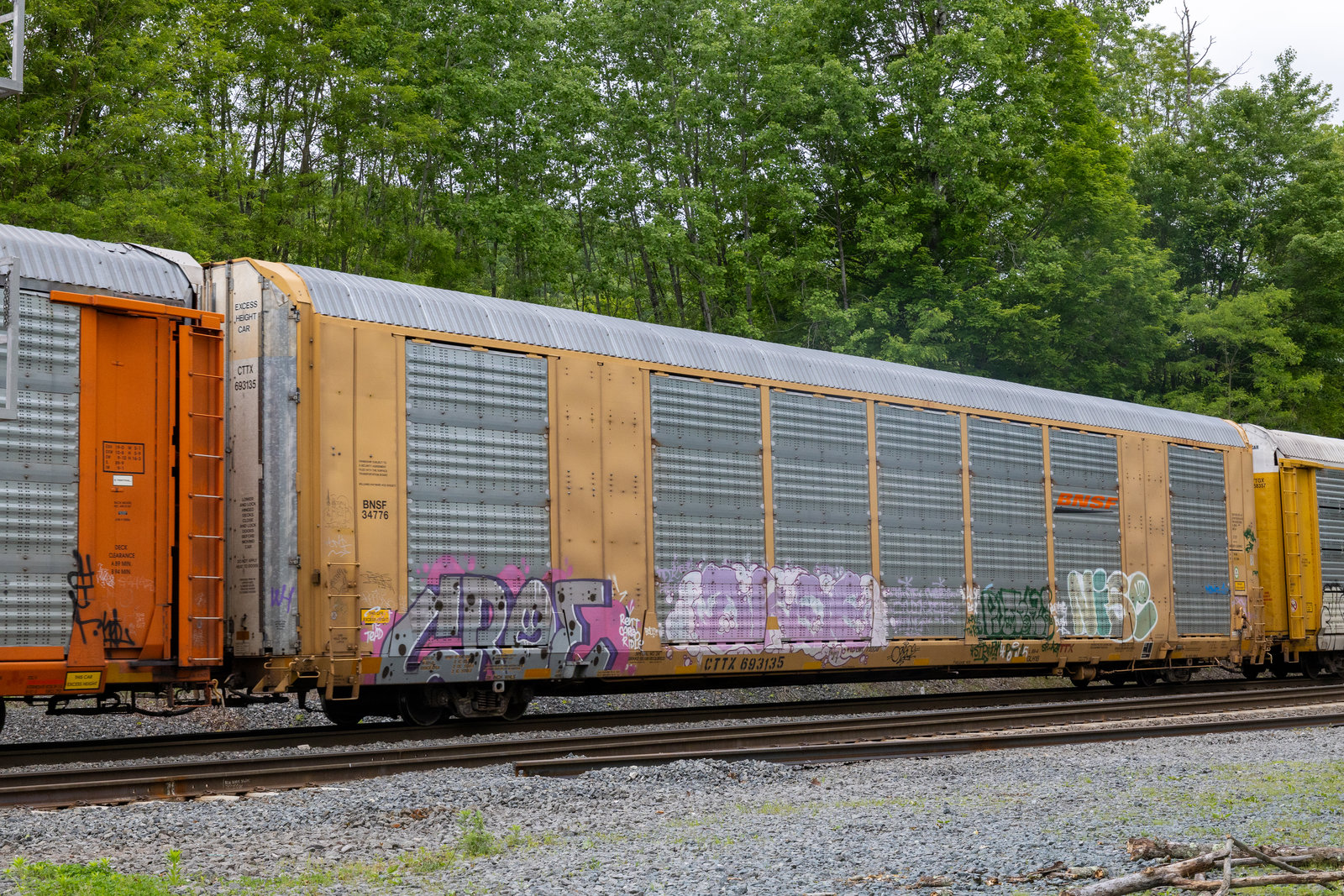 CTTX 693135