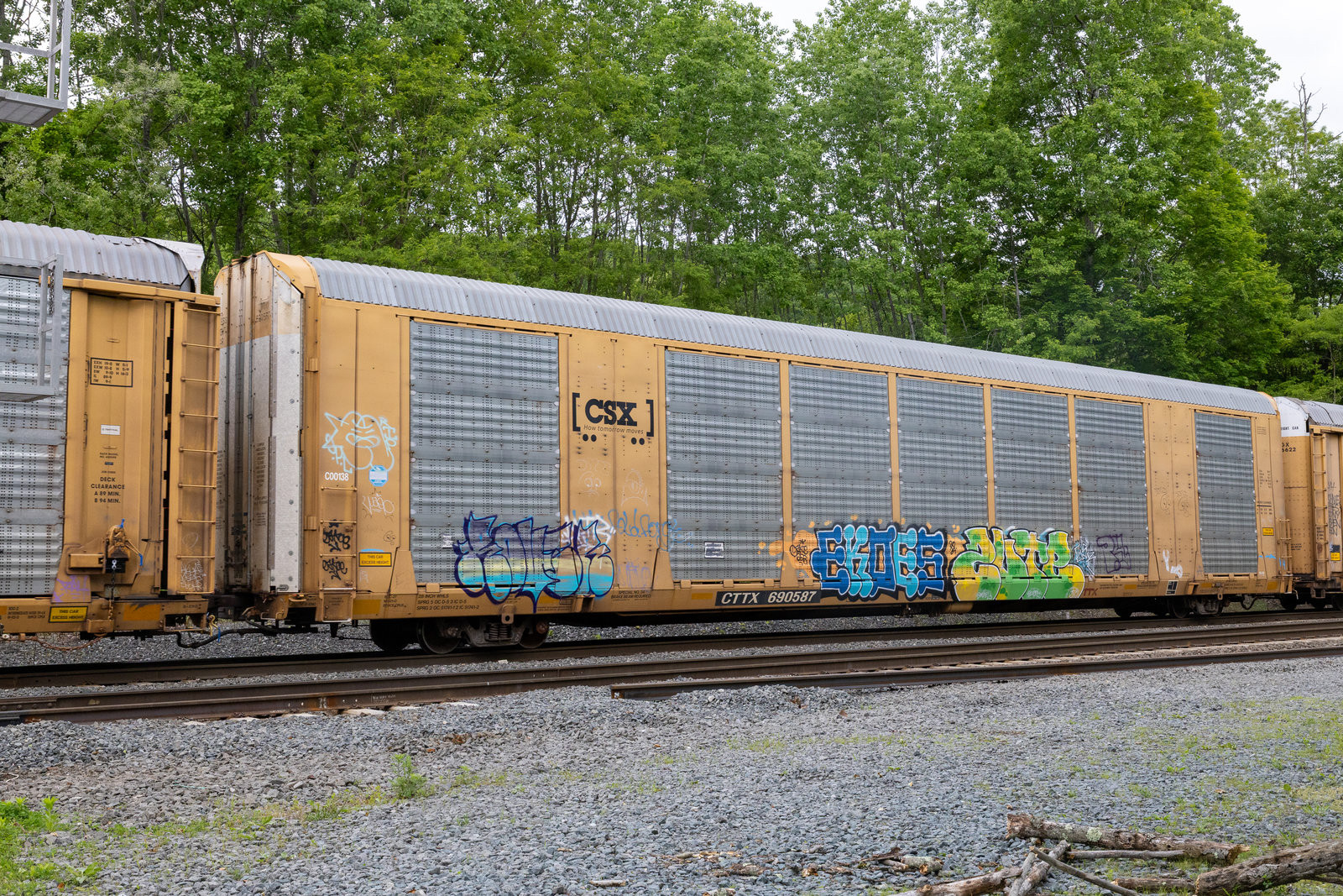 CTTX 690587