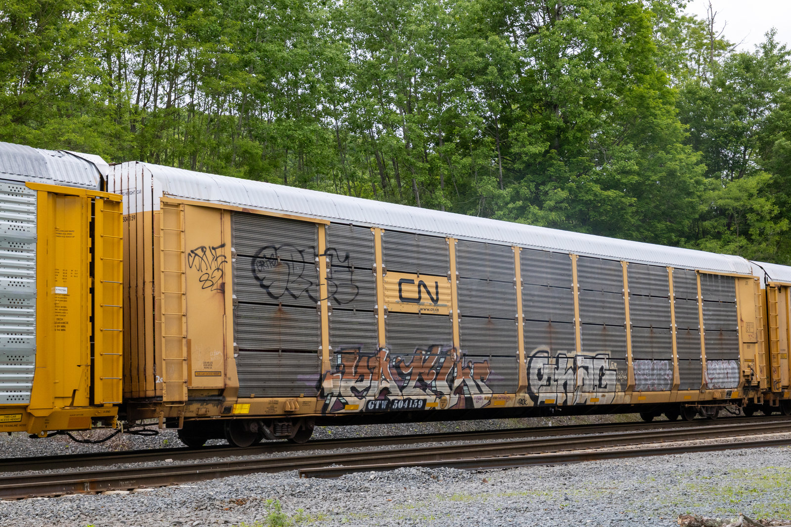 GTW 504159