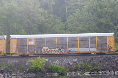 SP 516808