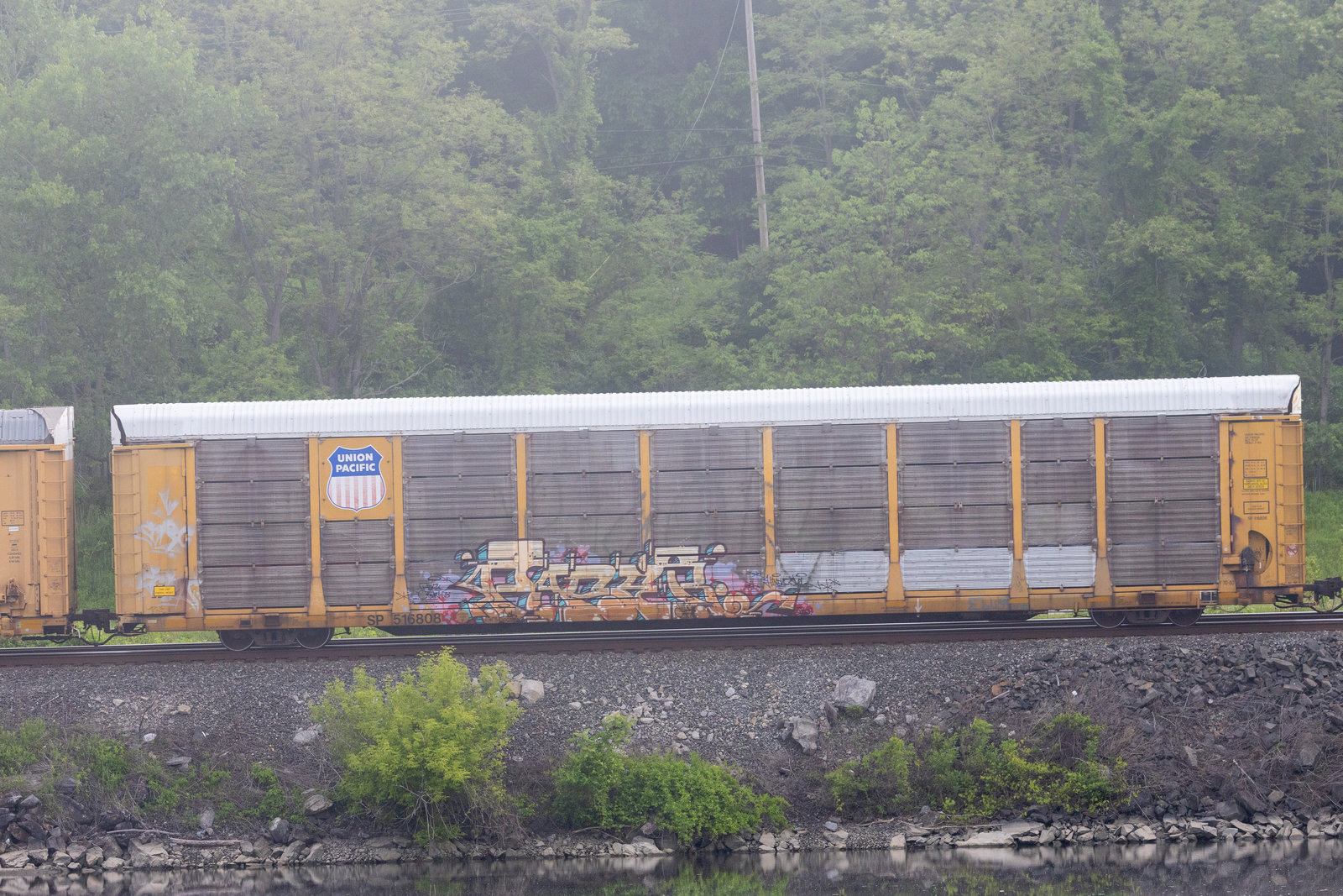 SP 516808