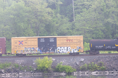 TBOX 664219