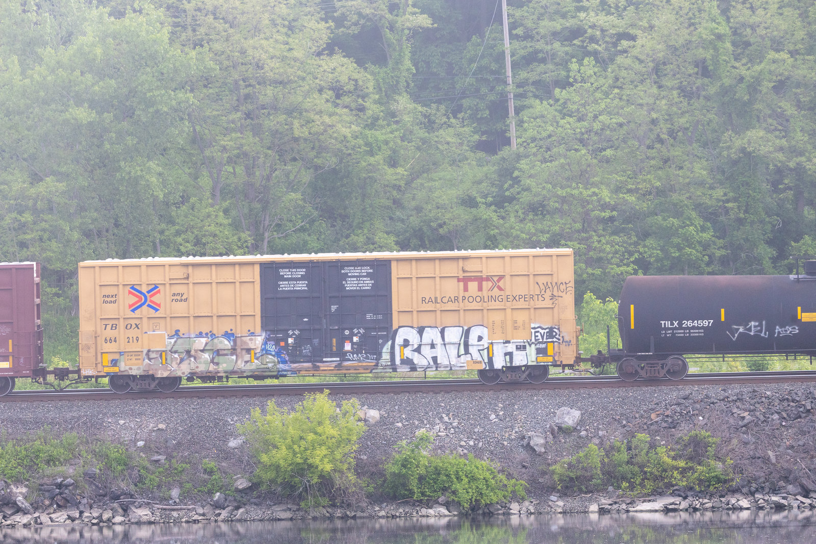 TBOX 664219