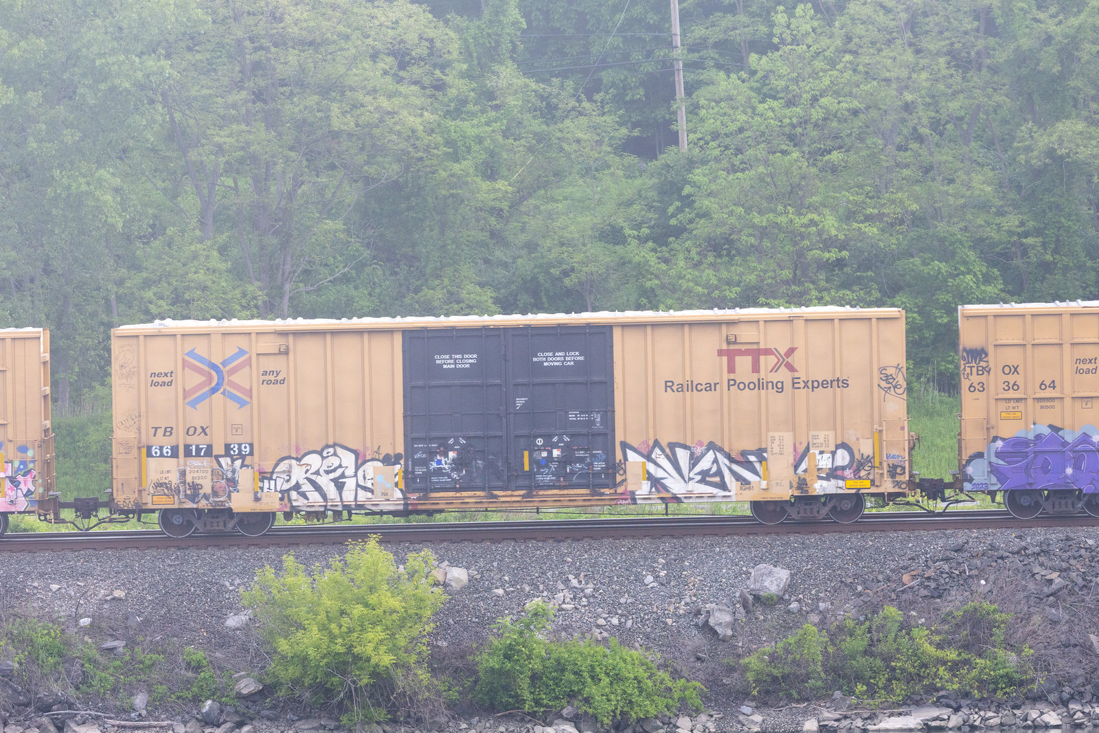 TBOX 661739
