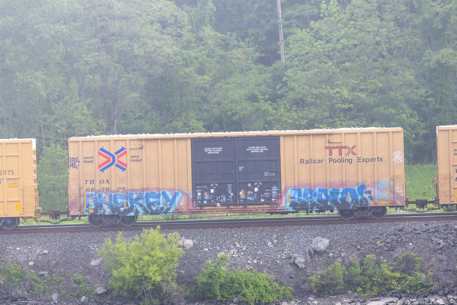 TBOX 663625