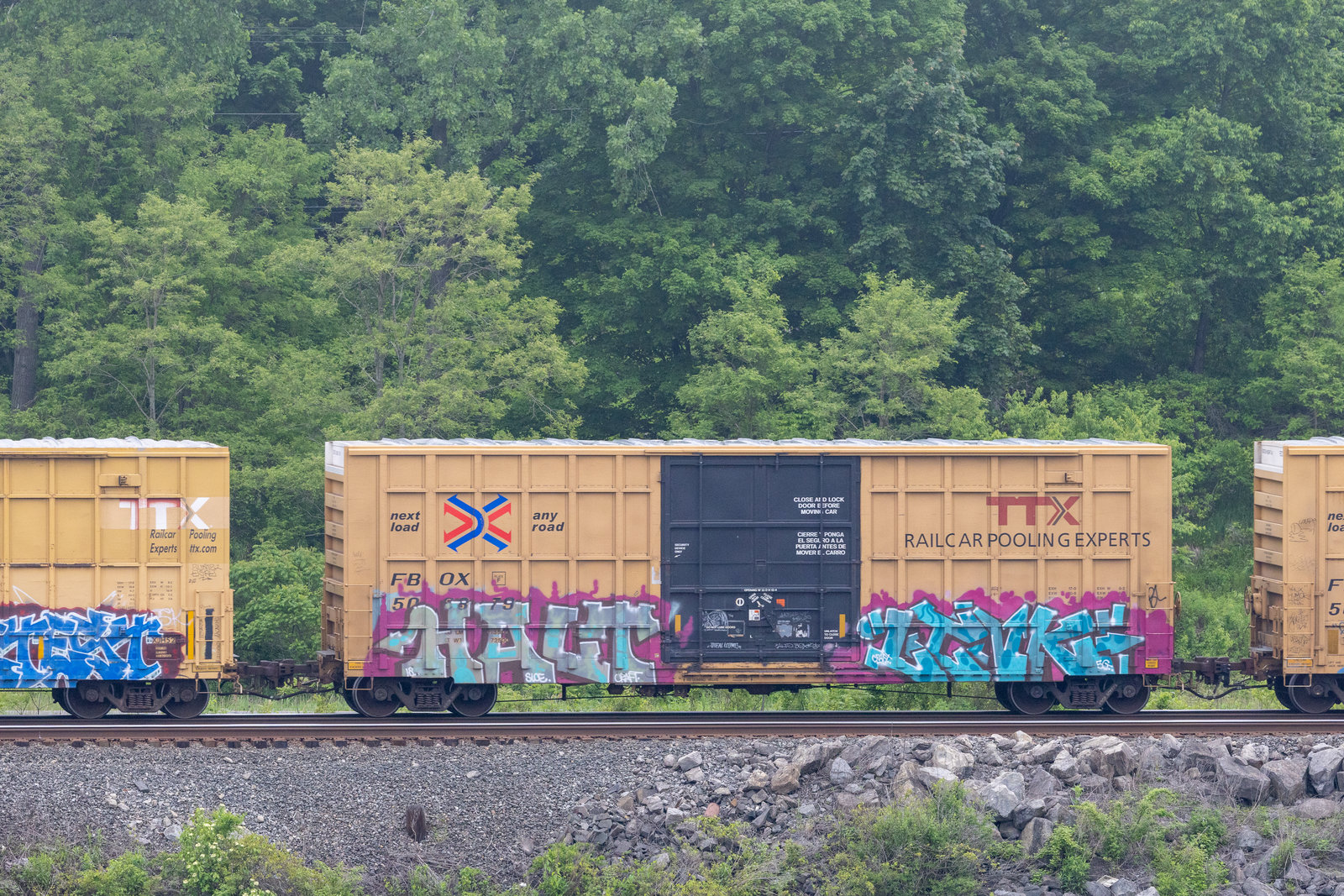 FBOX 506879