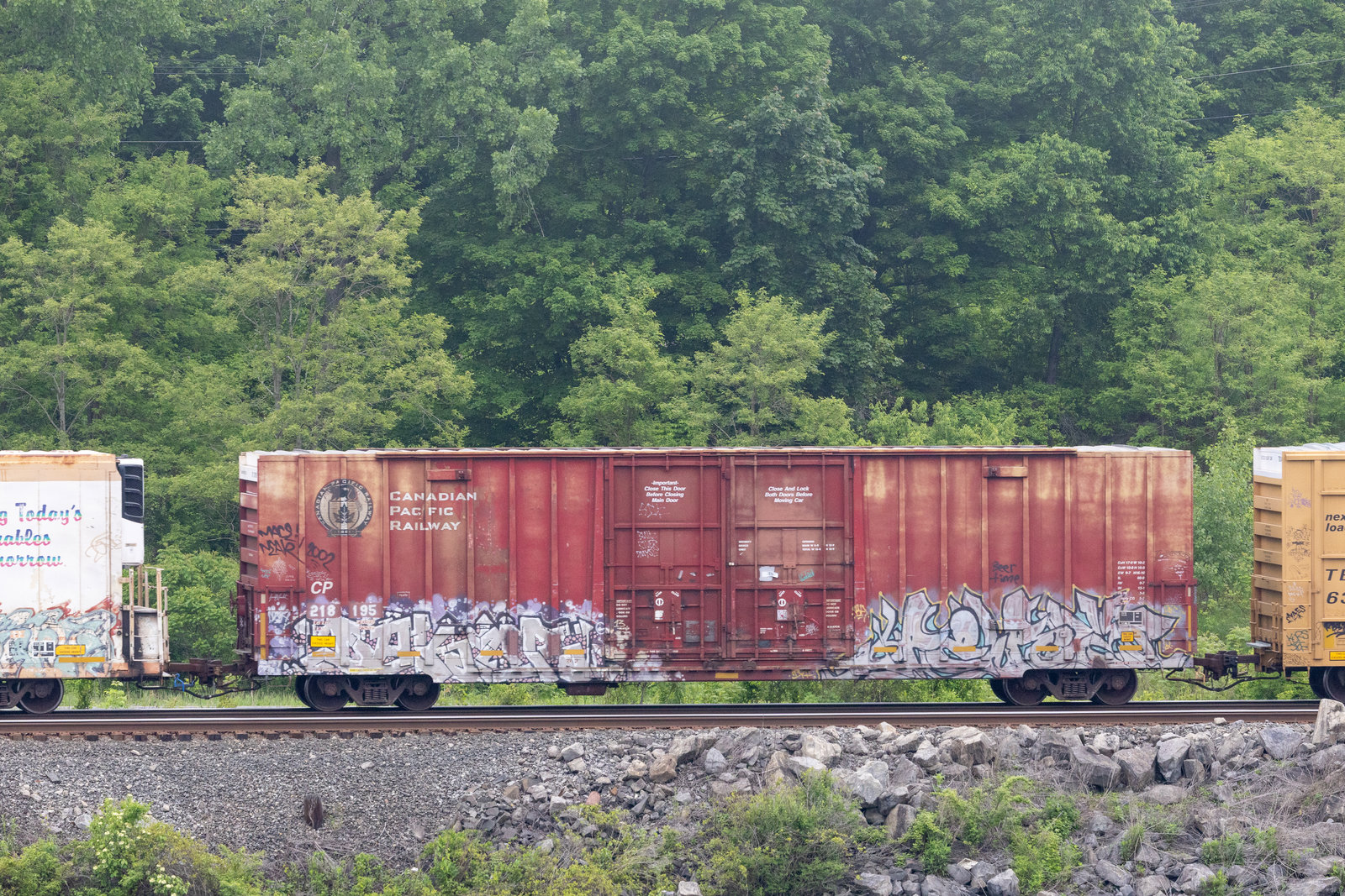 CP 218195