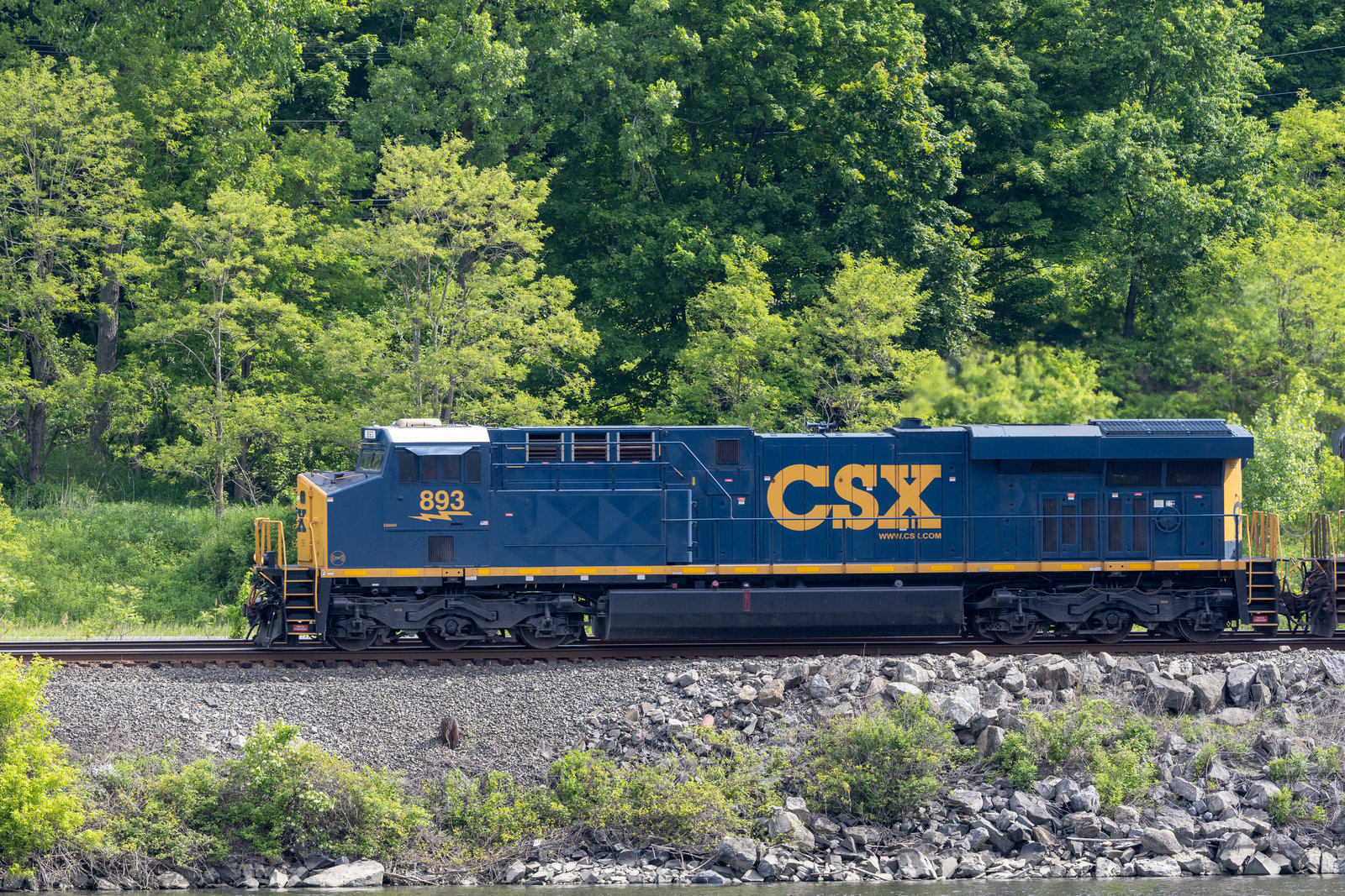 CSXT 893