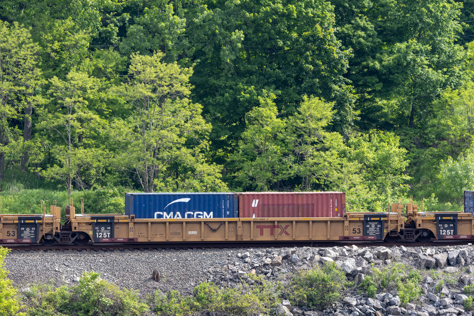 DTTX 791065C