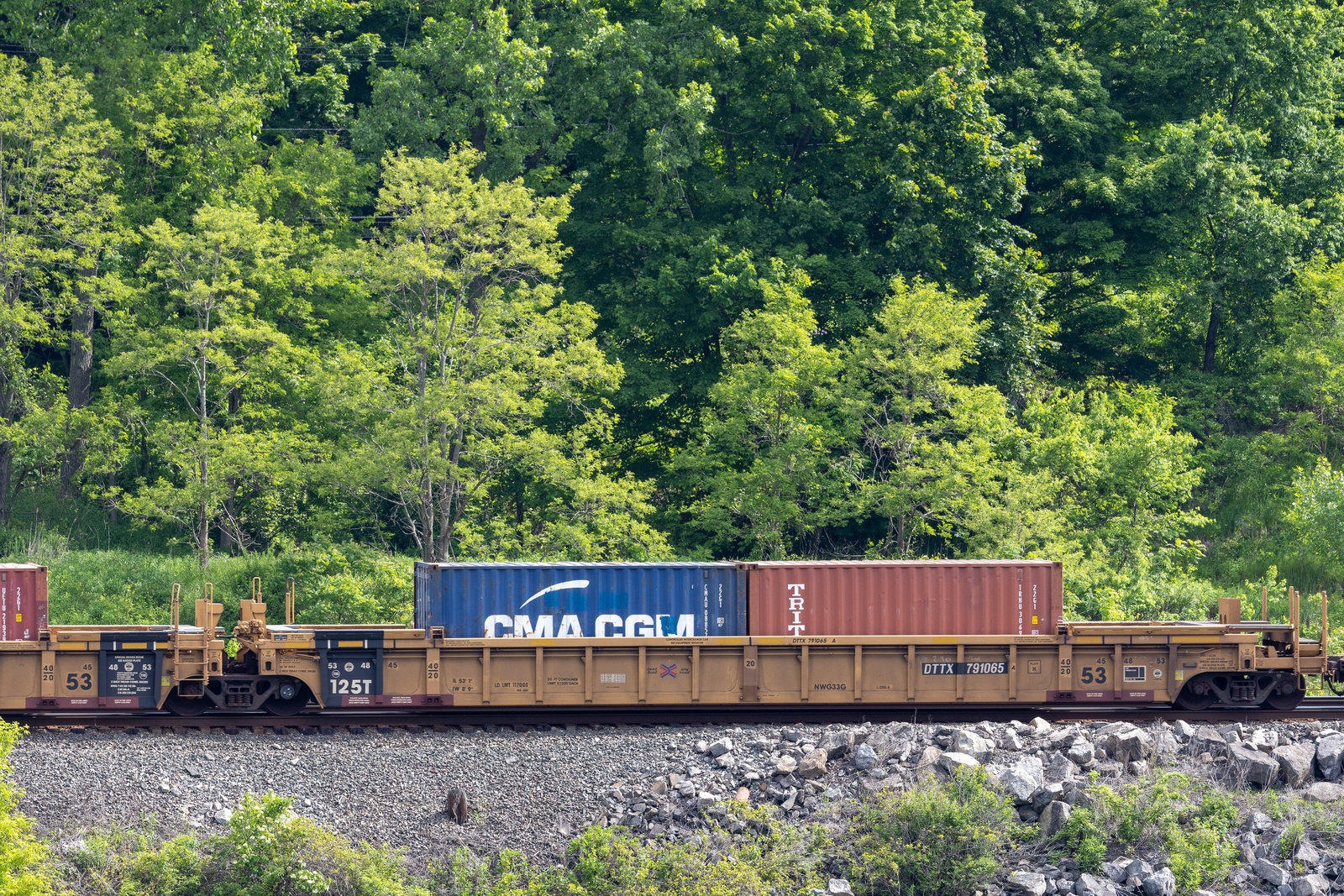 DTTX 791065A