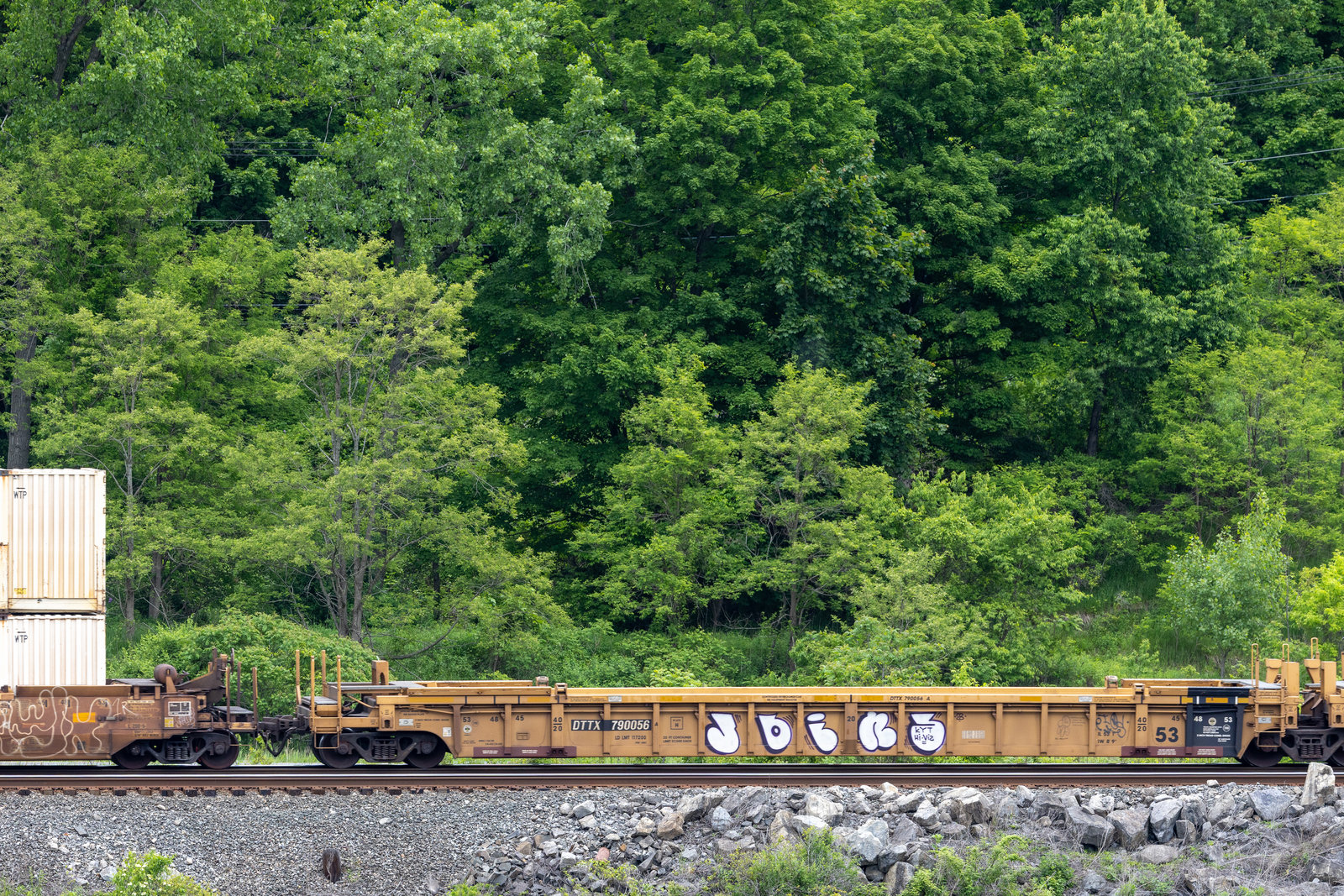 DTTX 790056A