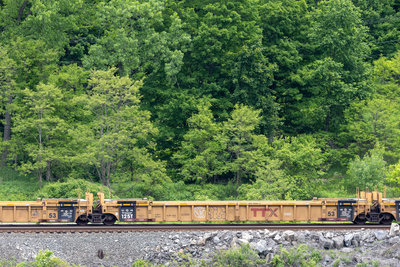 DTTX 790056C