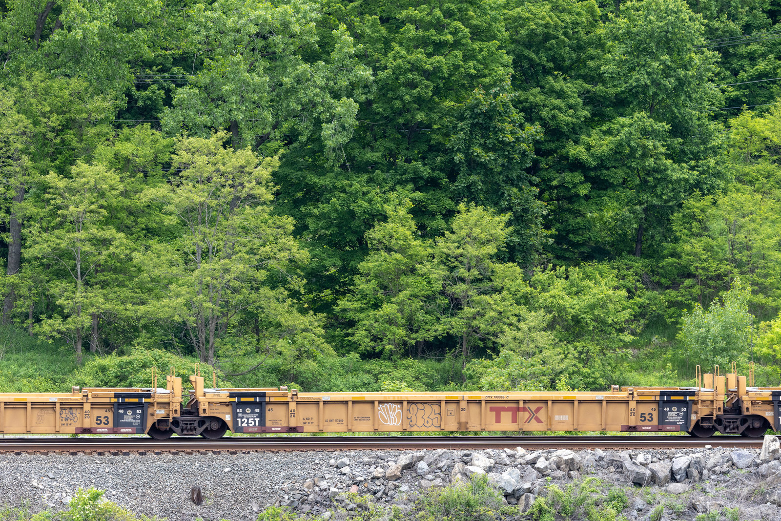 DTTX 790056C