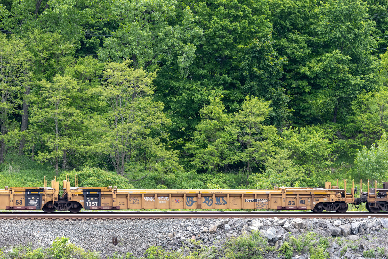 DTTX 790056B