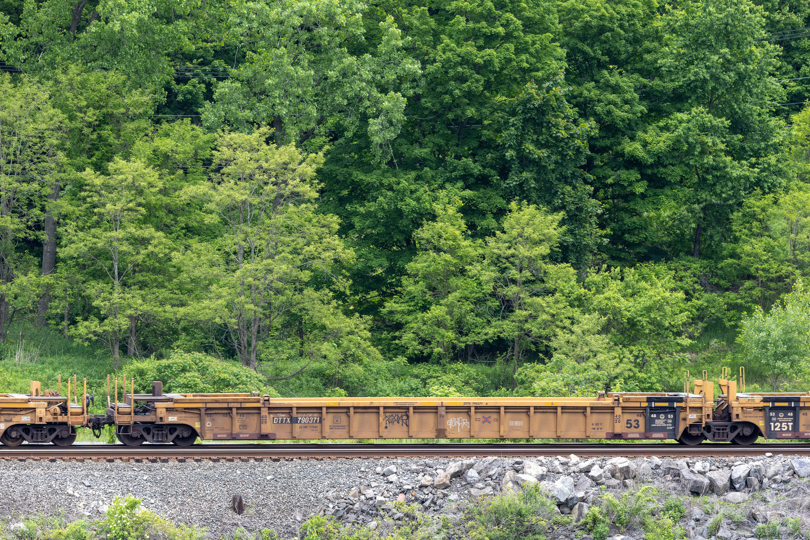 DTTX 790371A