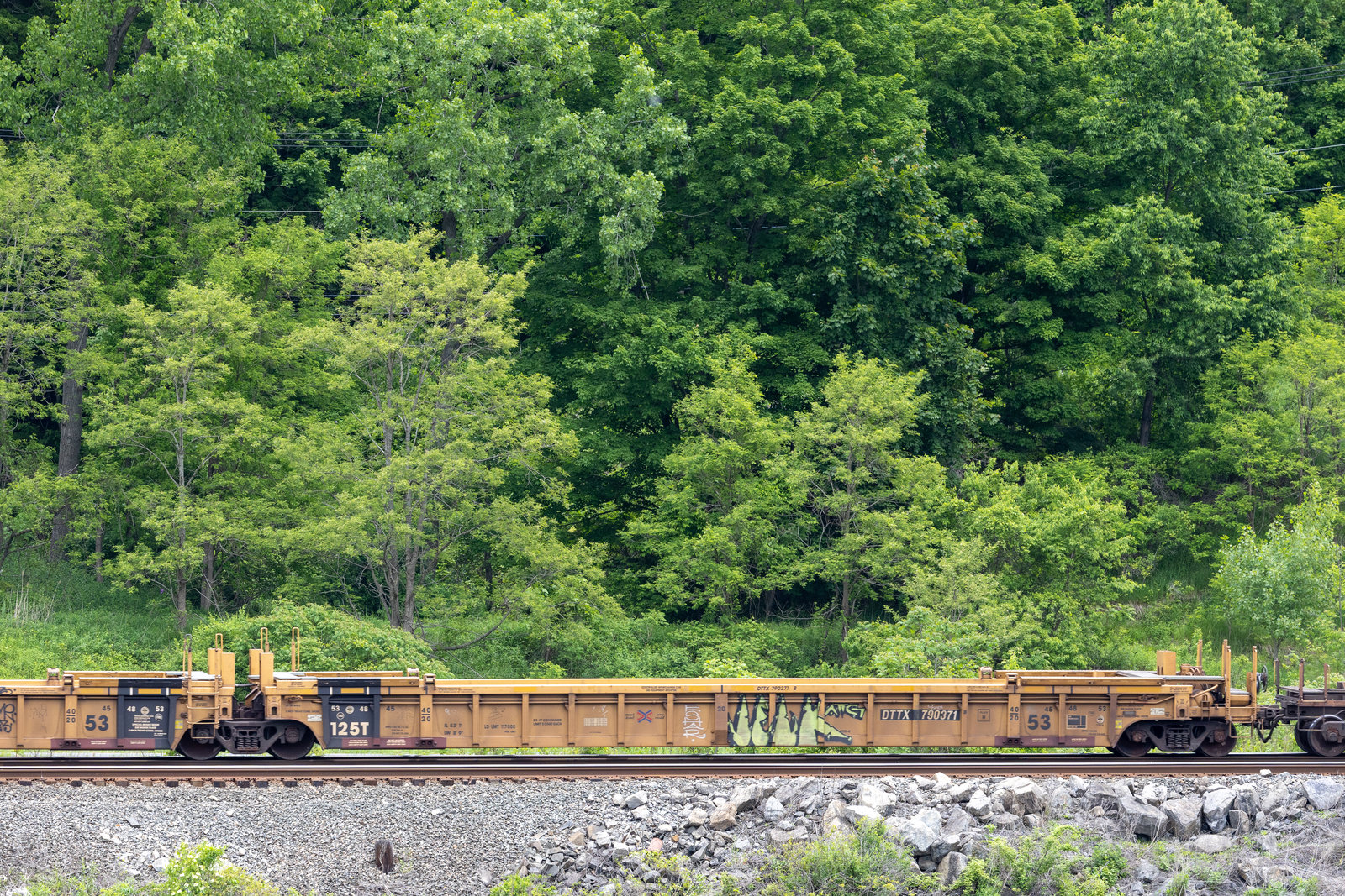 DTTX 790371B