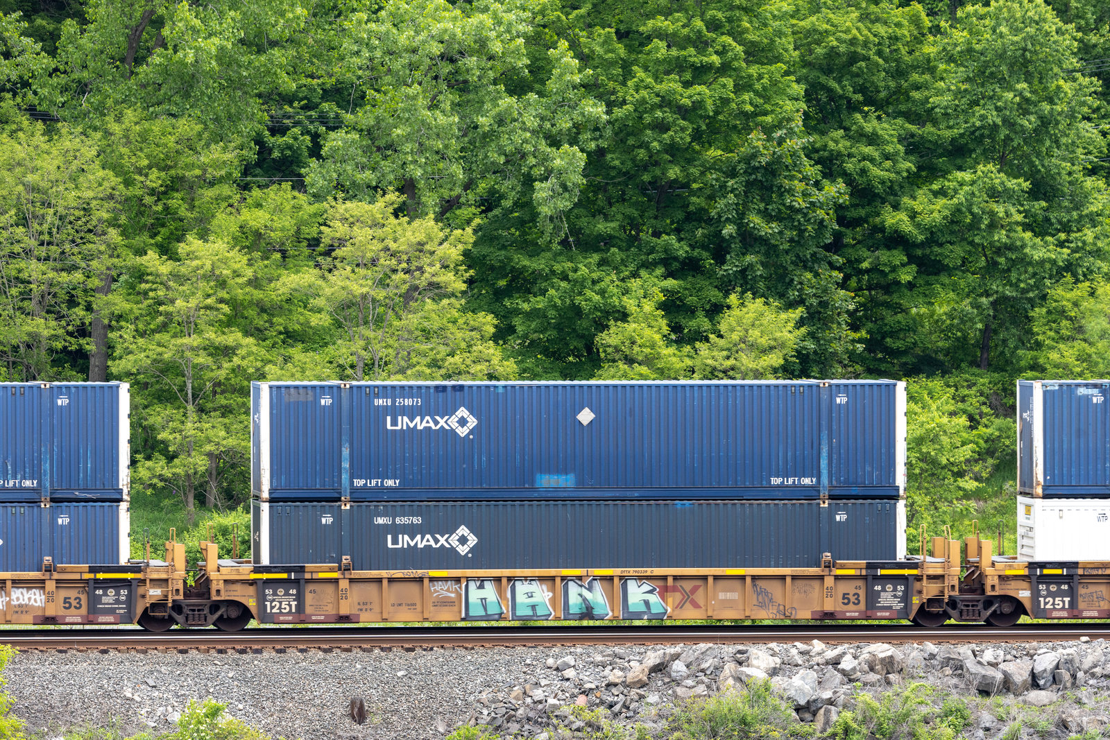 DTTX 790339C