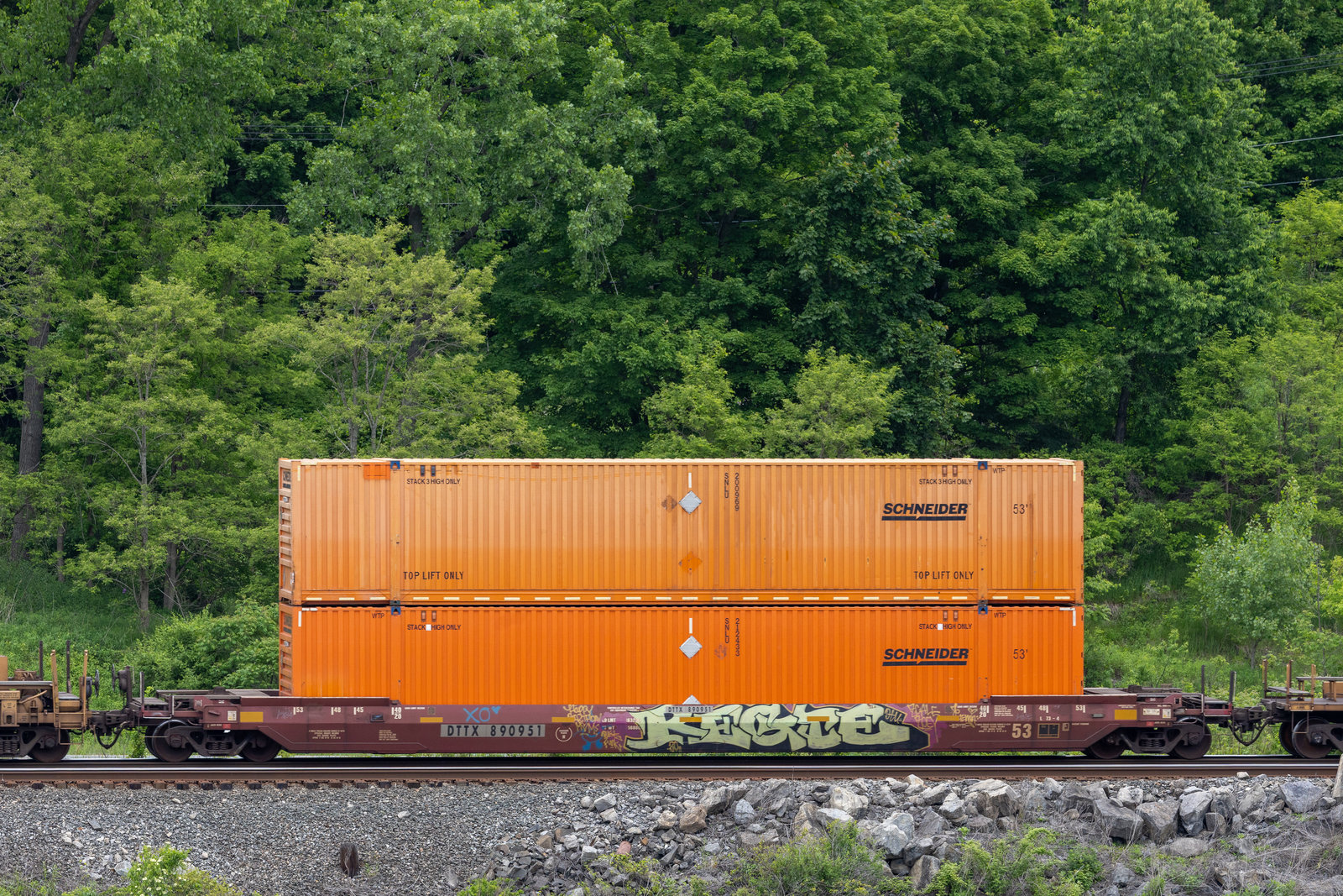 DTTX 890951