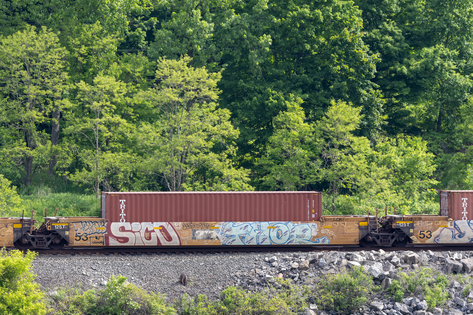 DTTX 732750C