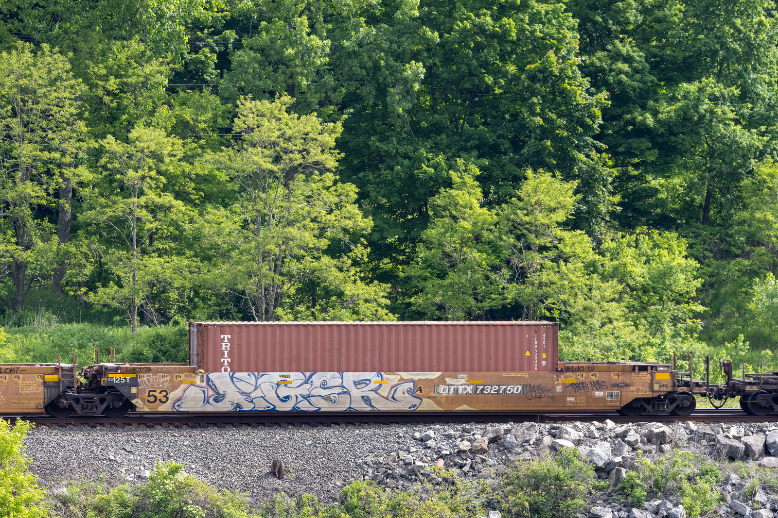 DTTX 732750A