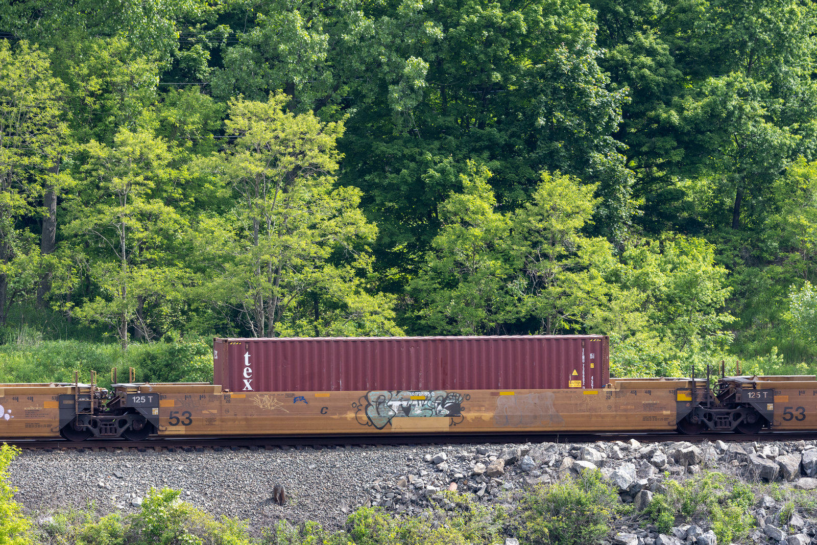 DTTX 727153C