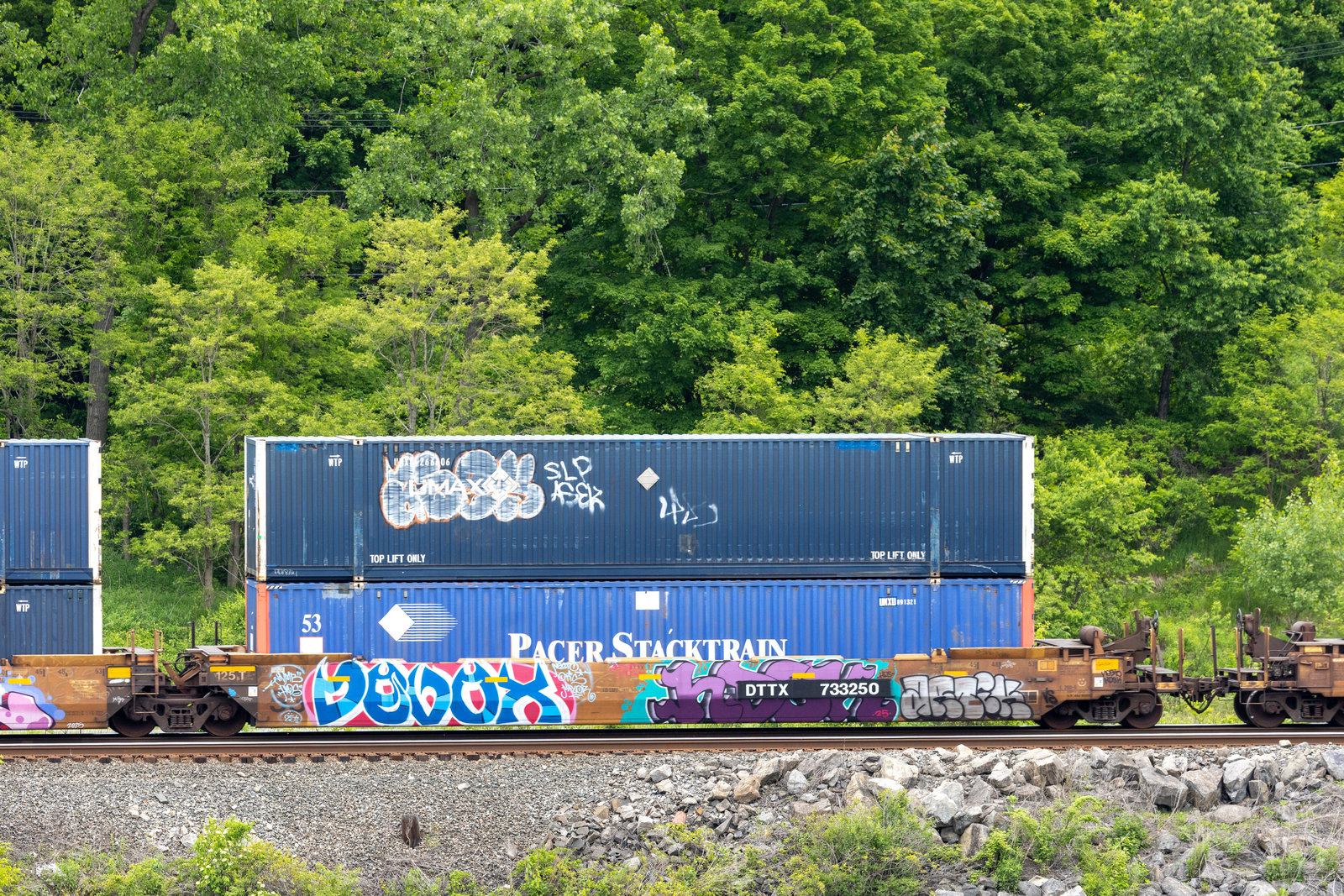 DTTX 733250B