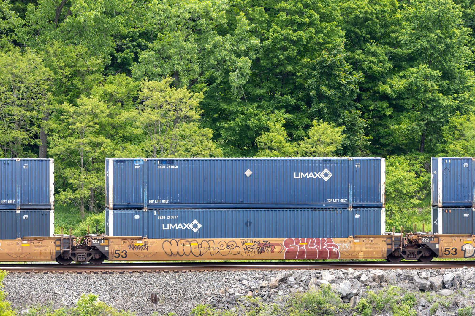 DTTX 766197C