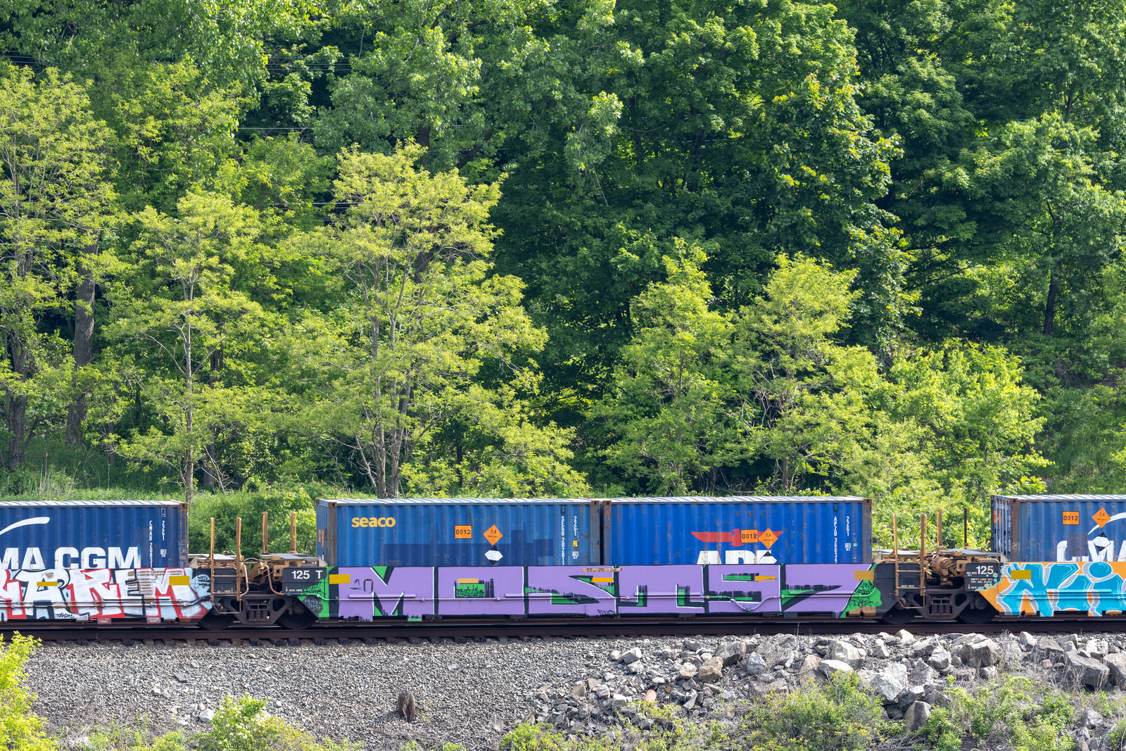 DTTX 759908E