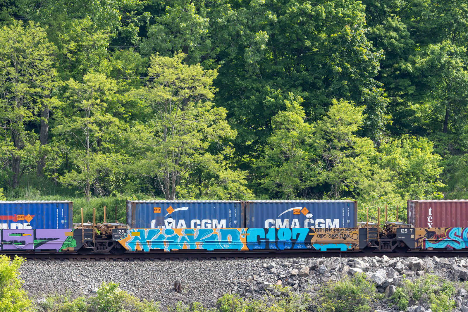 DTTX 759908D