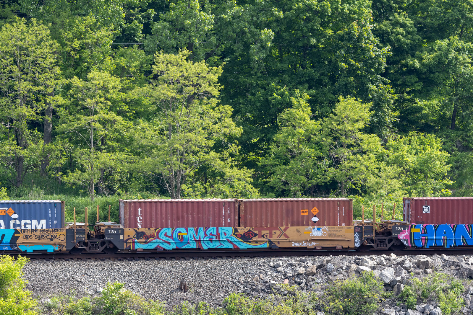 DTTX 759908C