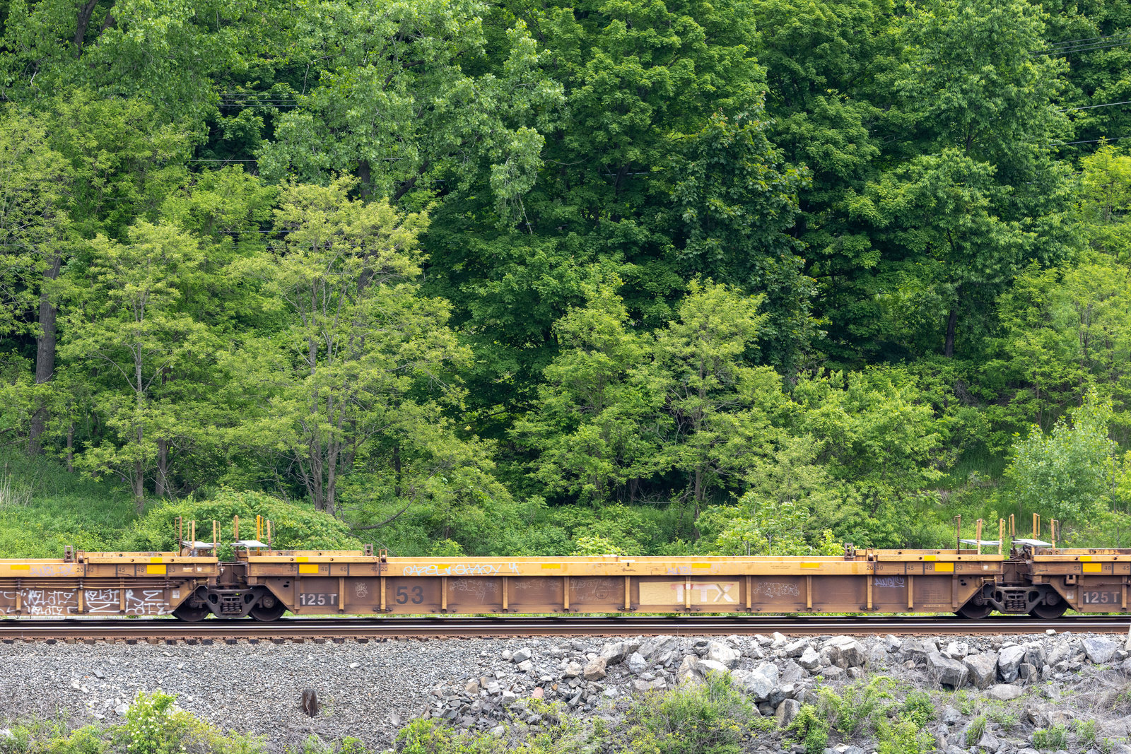 DTTX 725158C