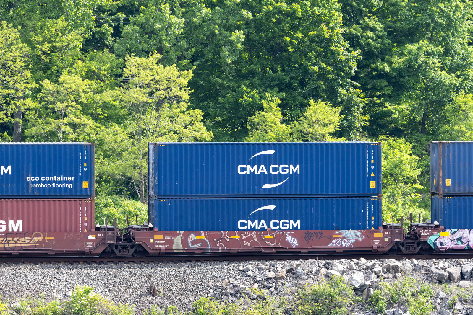 BNSF 238405C