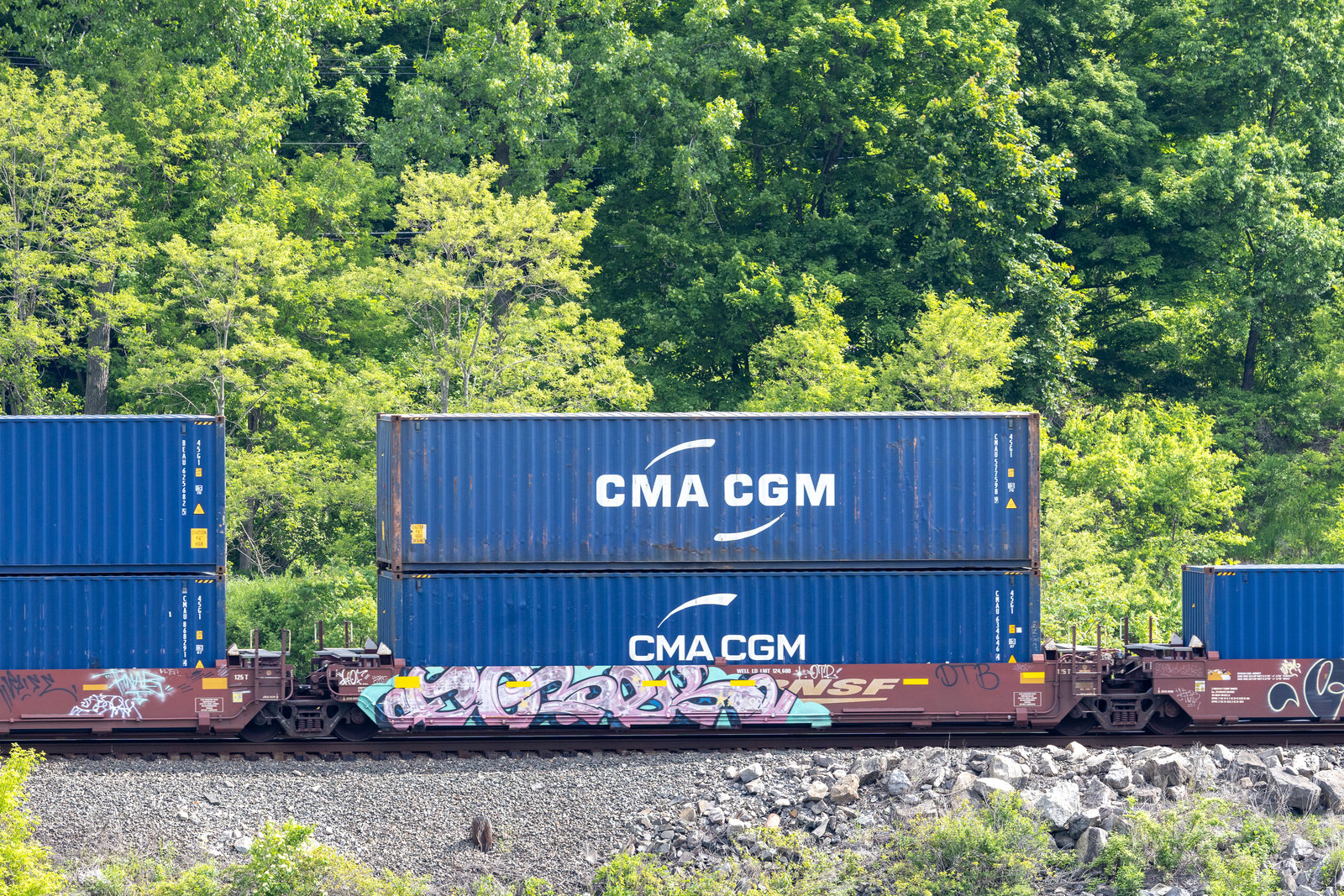 BNSF 238405D