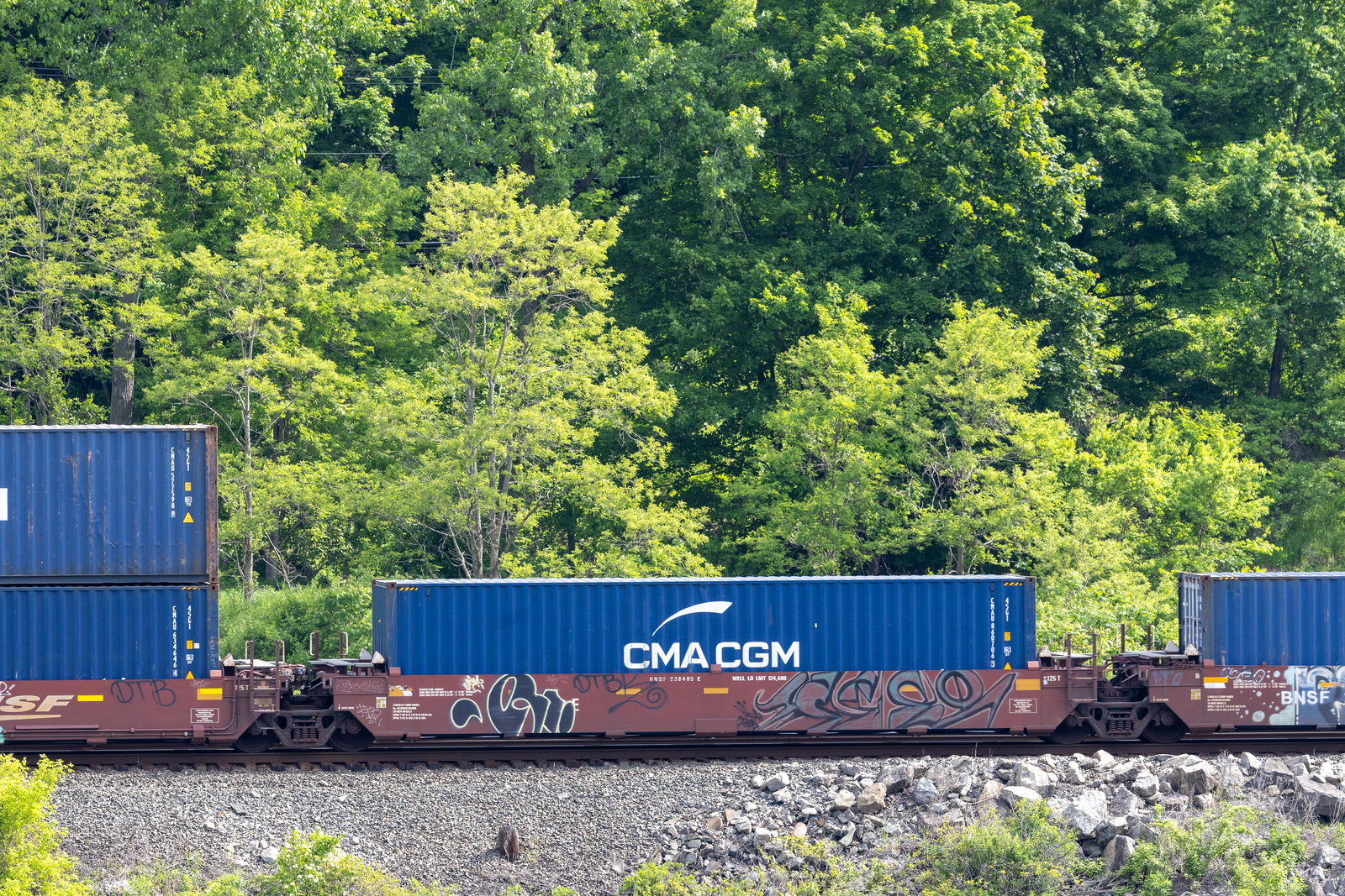 BNSF 238405E