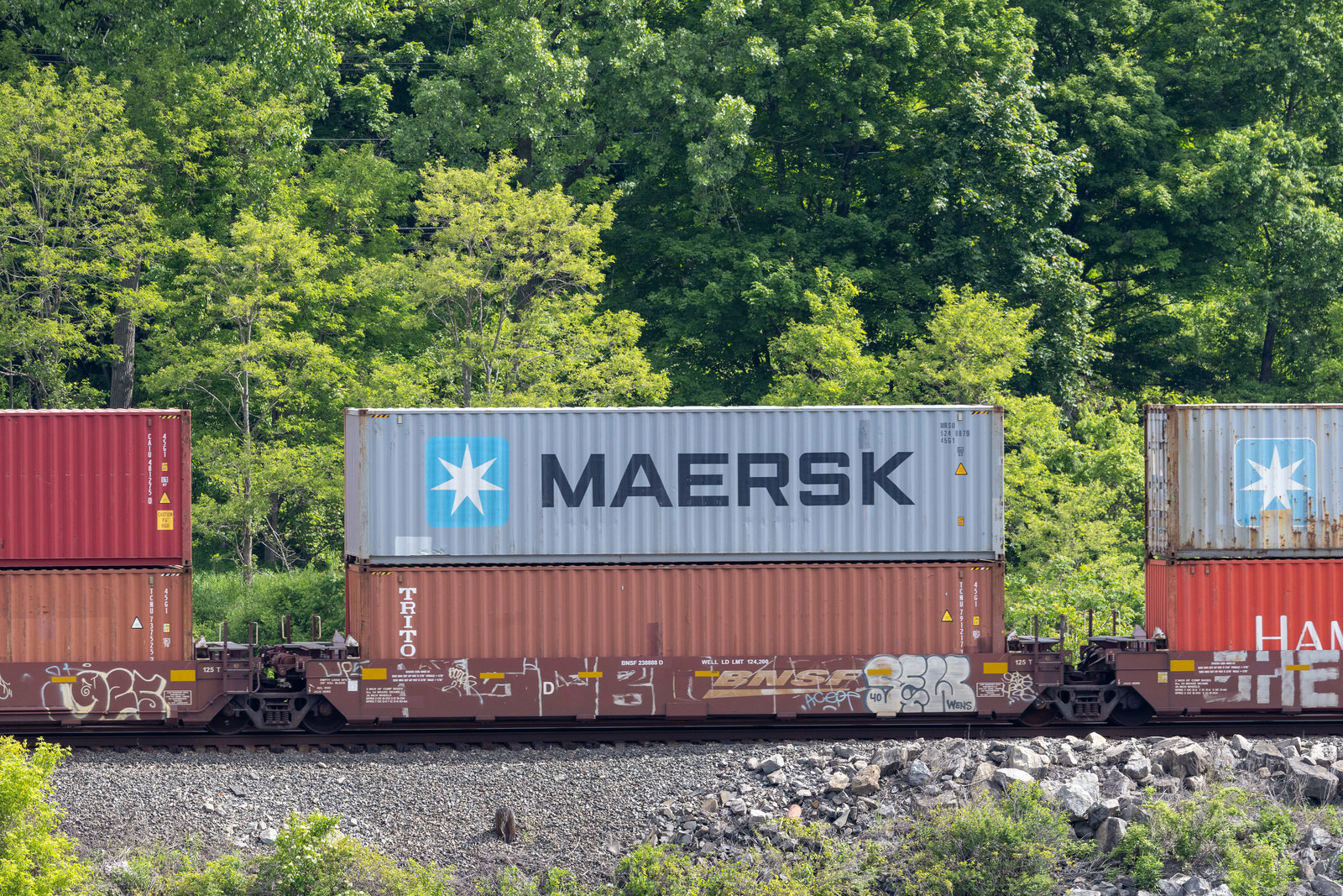 BNSF 238888D
