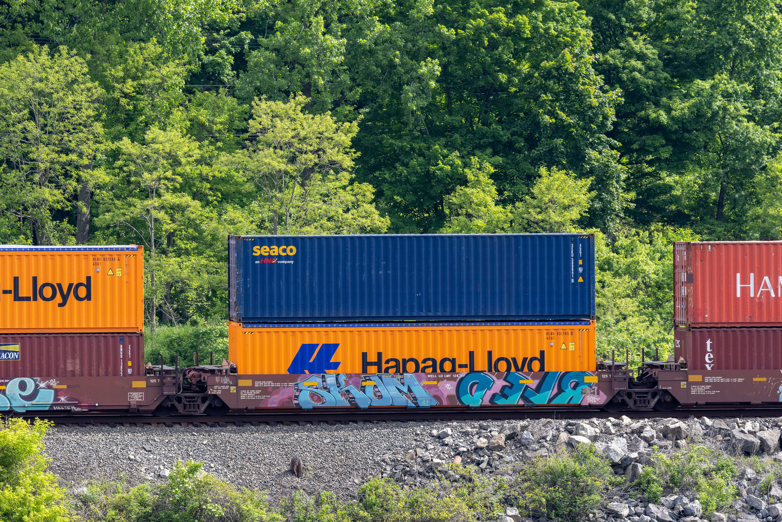 BNSF 238928D