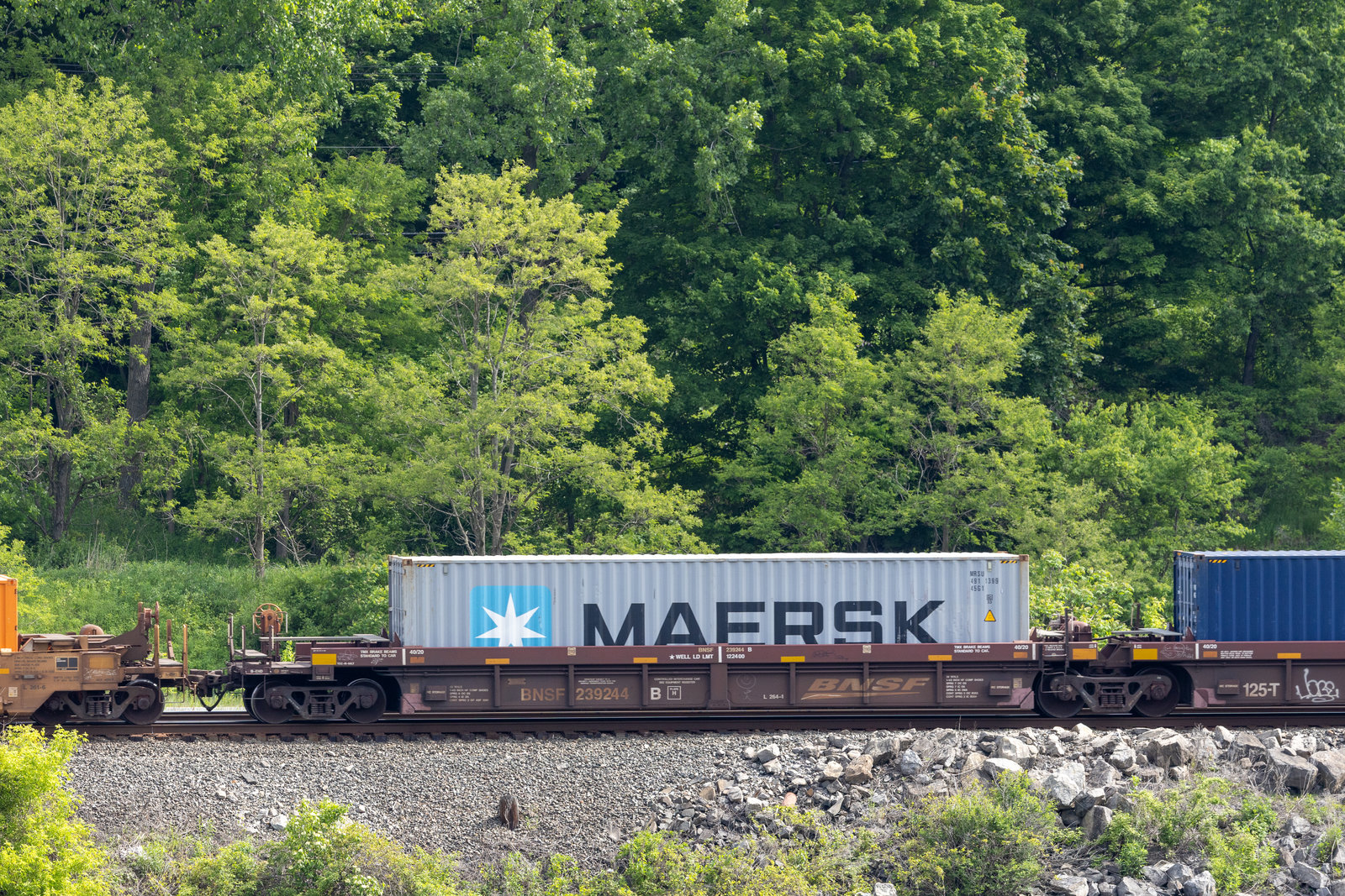 BNSF 239244B