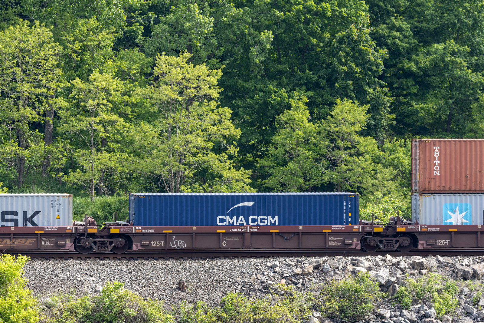 BNSF 239244C