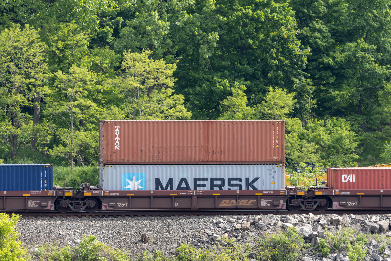 BNSF 239244D
