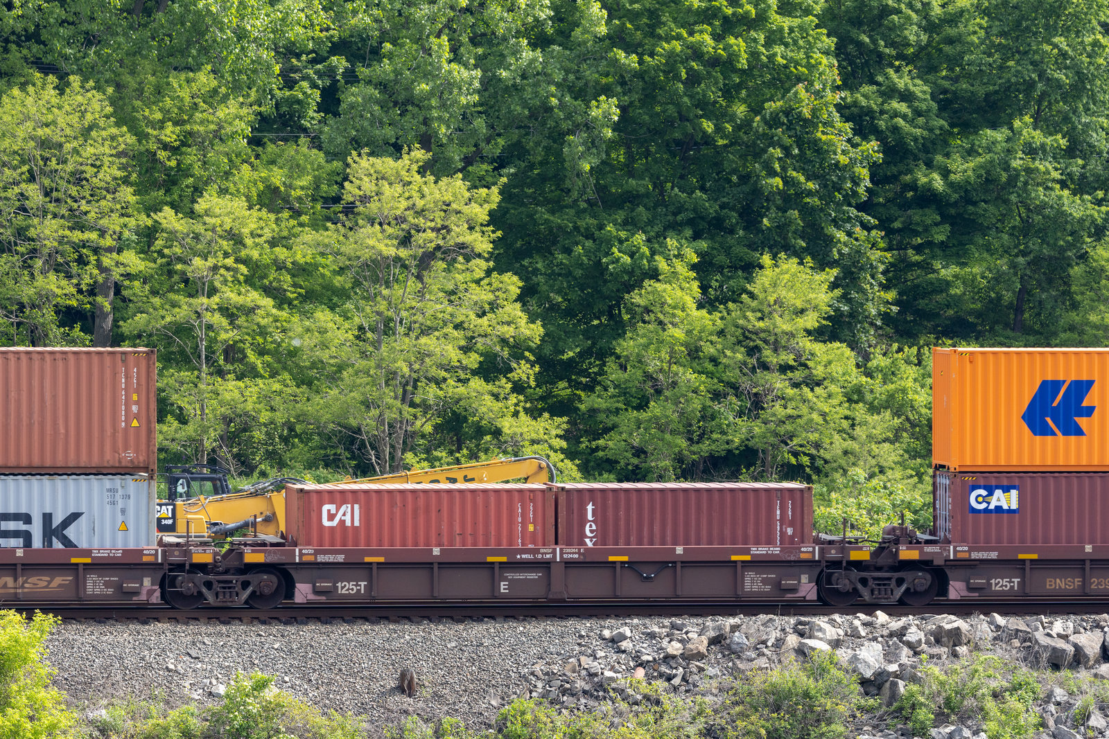 BNSF 239244E