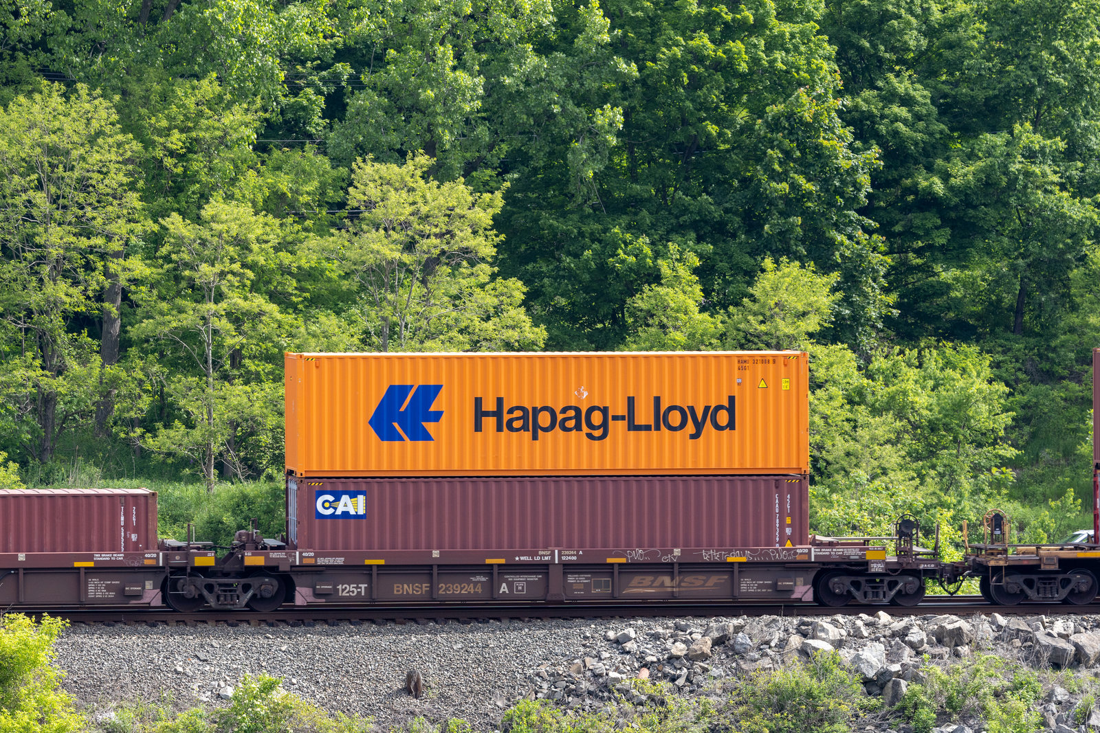 BNSF 239244A
