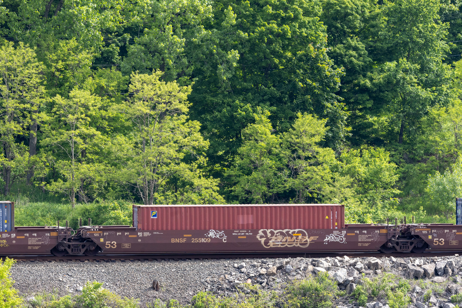 BNSF 255109C