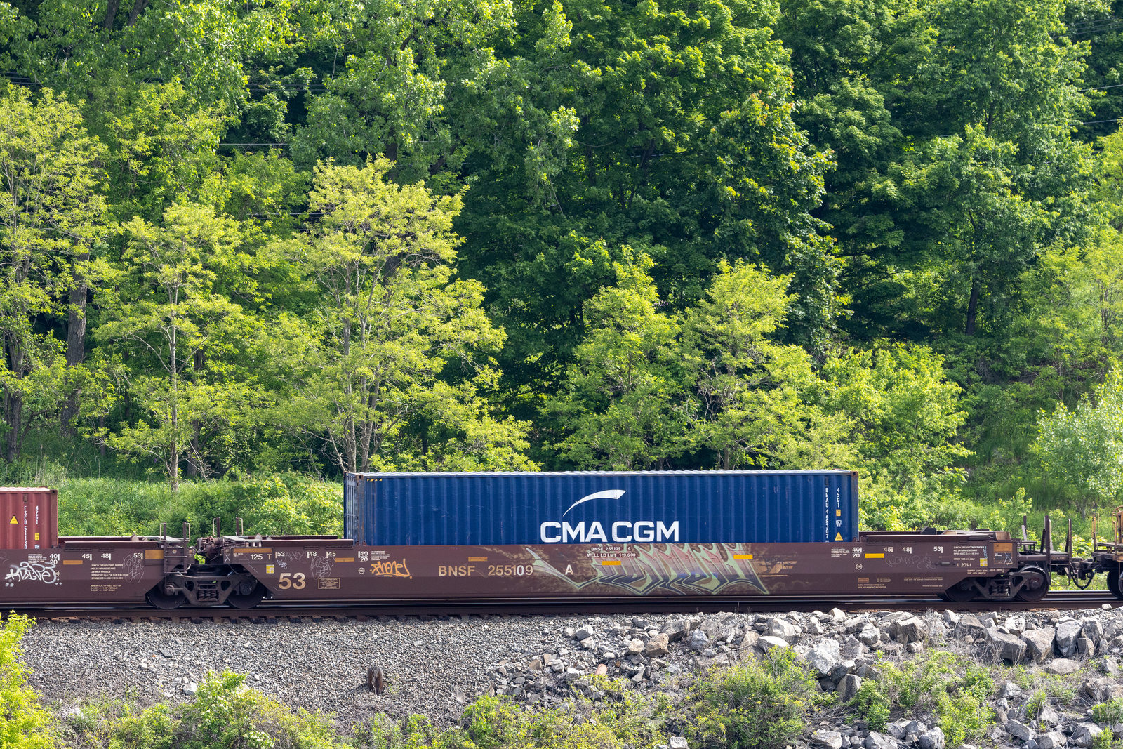 BNSF 255109A