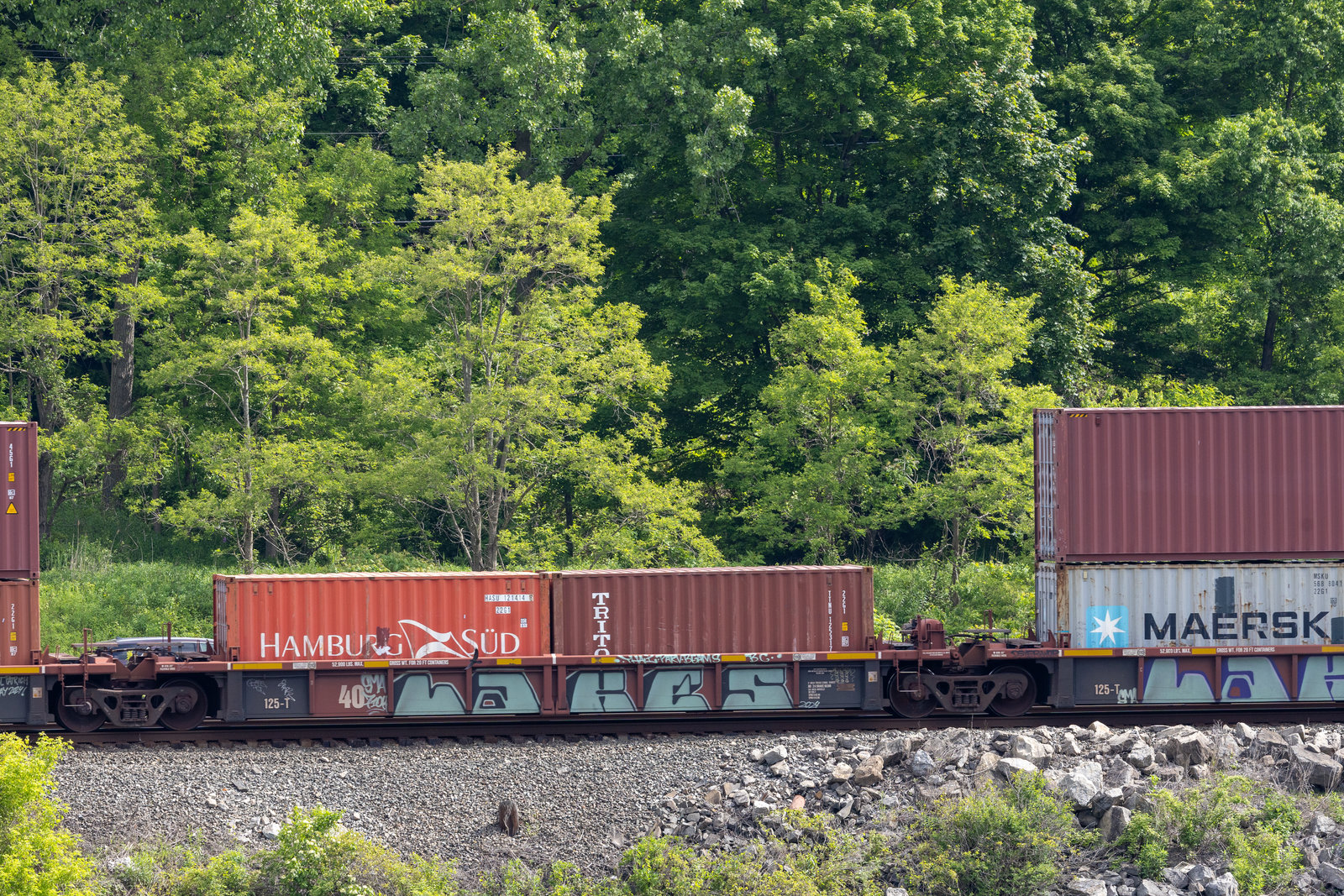 AOK 5202D