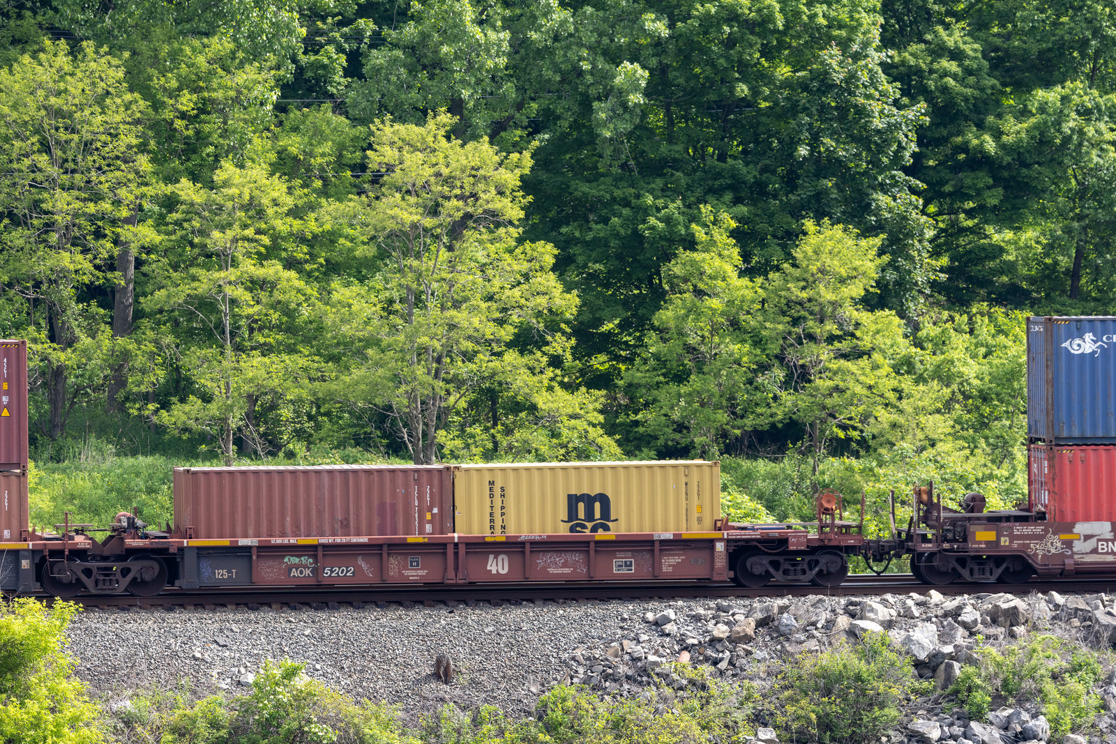 AOK 5202B