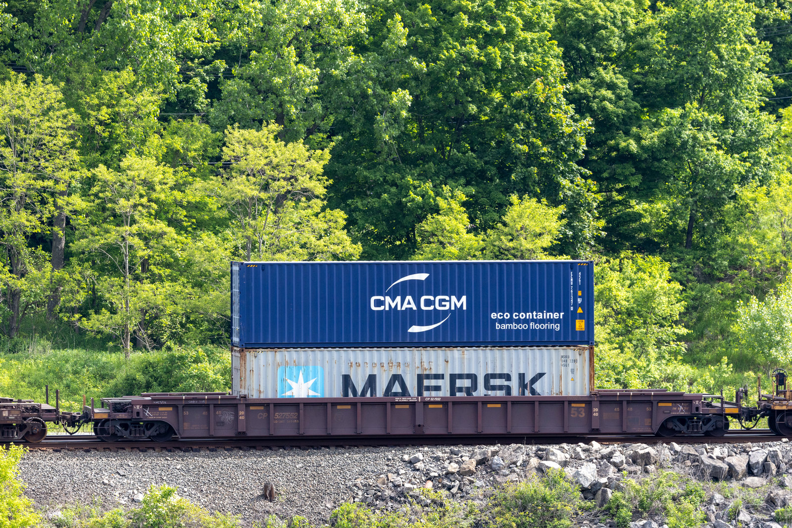 CP 527552
