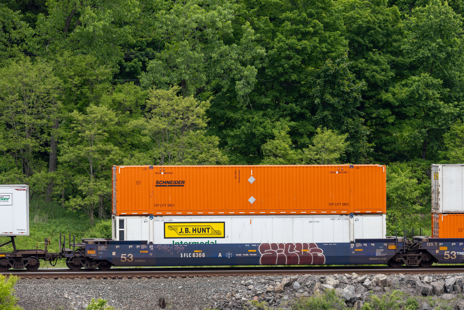 SFLC 6306A