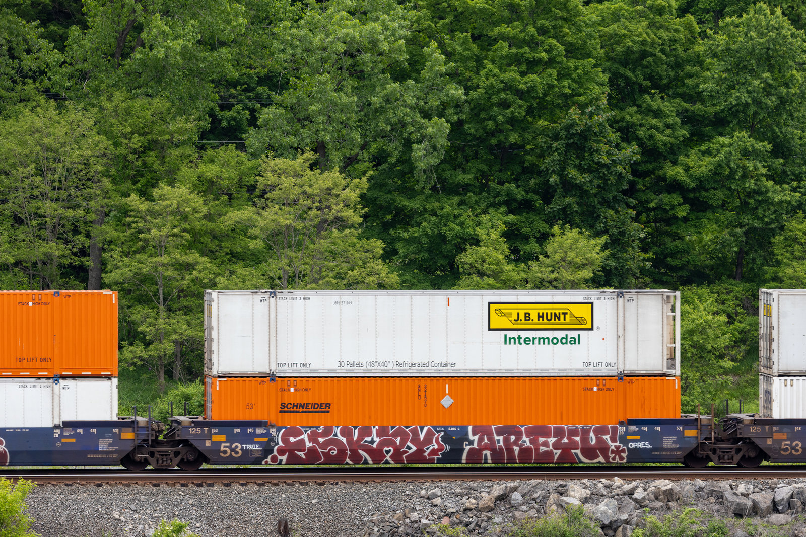 SFLC 6306C